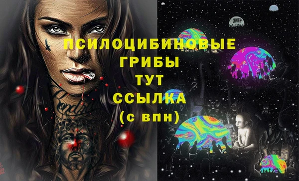 apvp Медвежьегорск
