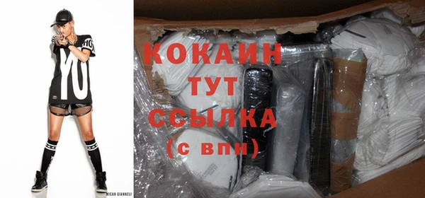 прущие грибы Магадан