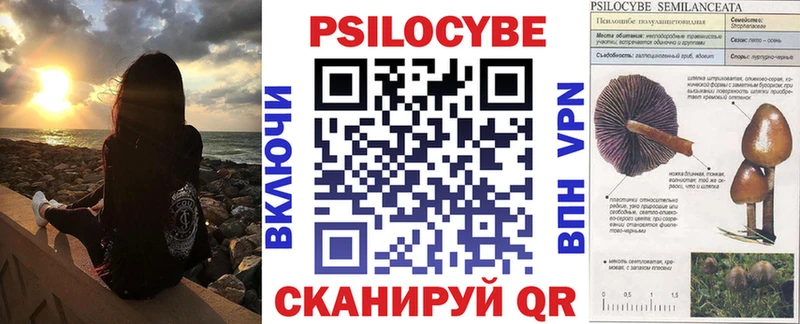 где купить наркоту  Пучеж  Псилоцибиновые грибы ЛСД 