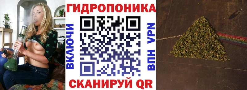 купить   Пучеж  Бошки марихуана планчик 
